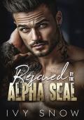 Rescued by the Alpha SEAL (Iron Hollow Protectors #1)