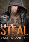 Live Love Steal (Destroyers MC: Skilletsville PA #2)