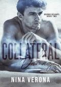 Collateral Damage (Devious Delights #2)