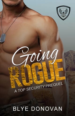 Going Rogue (Tactical Operations & Protection (TOP))