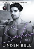 Santino (The Camboy Network #4)