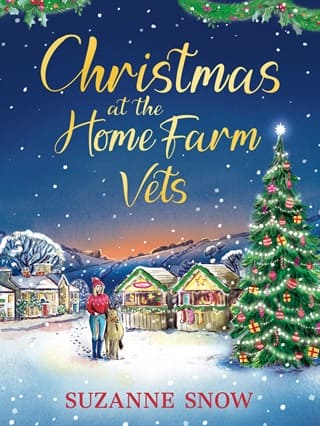 Christmas at the Home Farm Vets (Hartfell Village #2)