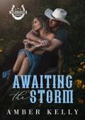 Awaiting the Storm (Wildhaven #1)