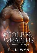 Stolen By the Wraiths (Rift Wraiths #1)