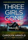 Three Girls Gone (Detective Amanda Steele #14)