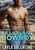 Taming the Billionaire Cowboy (The Billionaire’s Bidding #3)