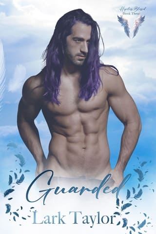Guarded (Hopeless Blessed #3)