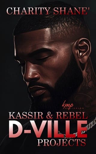 Kassir and Rebel (D-Ville Projects #2)