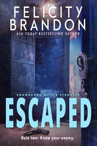 Escaped (Snowbound with a Stranger #3)