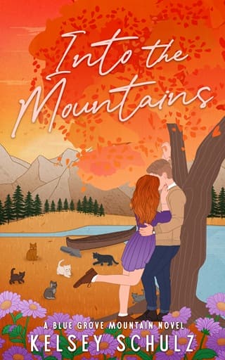 Into the Mountains (Blue Grove Mountain #3)