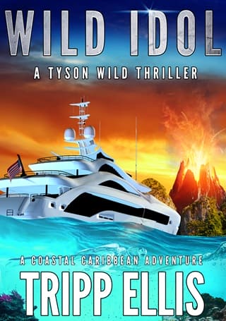 Wild Idol (Tyson Wild Thriller #82)