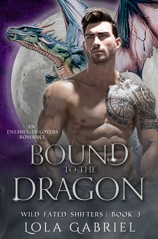 Bound to the Dragon (Wild Fated Shifters #3)