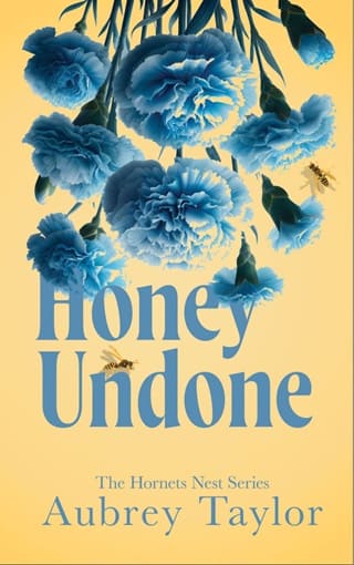 Honey Undone (The Hornets Nest #5)