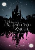 The Pactbound Angel (The Soul Mirror Duet #1)