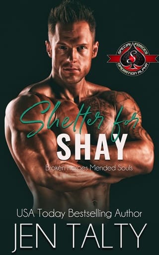 Shelter for Shay (Broken Heroes Mended Souls #2)
