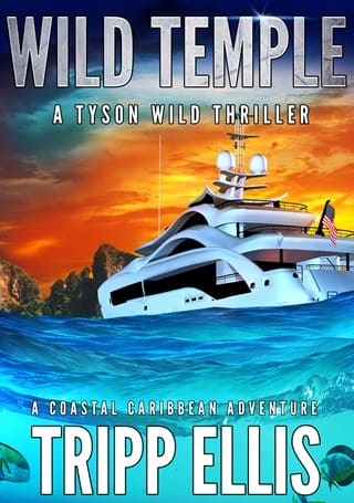 Wild Temple (Tyson Wild Thriller #84)