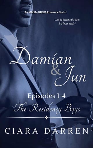 Damian & Jun, Episodes 1-4 (The Residency Boys #6)