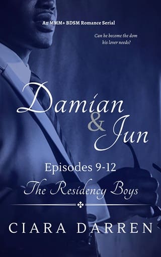Damian & Jun, Episodes 9-12 (The Residency Boys #8)