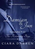 Damian & Jun, Episodes 9-12 (The Residency Boys #8)