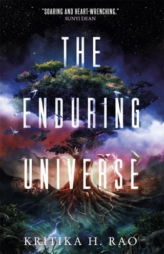 The Enduring Universe (The Rages Trilogy #3)