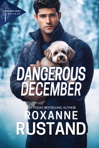 Dangerous December (Northern Pines Suspense #8)