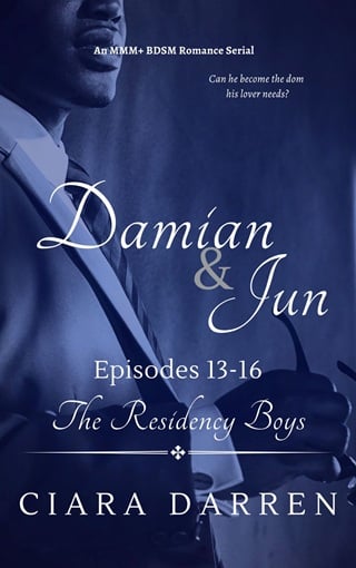 Damian & Jun, Episodes 13-16 (The Residency Boys #9)