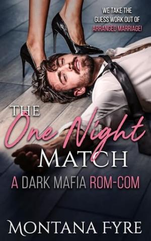The One Night Match (Mafia Matchmaker #1)