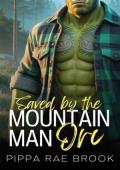 Saved By the Mountain Man Orc (The Men of Orc Mountain #1)
