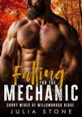 Falling for the Mechanic