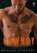 Cowboy (Fury Vipers MC: Dublin Chapter #4)