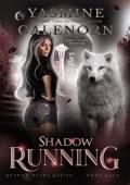 Shadow Running (Shadow Blade #4)