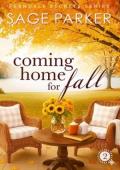 Coming Home for Fall 2 (Ferndale Secrets #2)