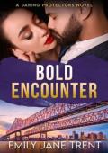 Bold Encounter (Daring Protectors #2)
