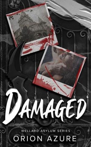 Damaged (The Wellard Asylum)