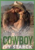 Tempted by the Broken Cowboy (Wrangler Creek: The BAD BOYS of Iron Stallion Ranch #2)
