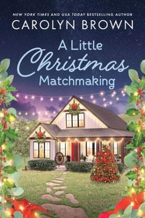 A Little Christmas Matchmaking (Paradise #2)