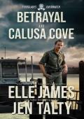 Betrayal In Calusa Cove (Everglades Overwatch #4)