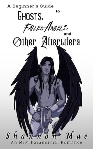 A Beginner's Guide to Ghosts, Fallen Angels, and Other Afterlifers (Demonic Disasters and Afterlife