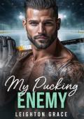 My Pucking Enemy (The Milwaukee Frost #4)