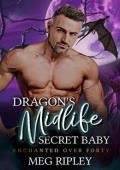 Dragon’s Midlife Secret Baby (Shifter Nation: Enchanted Over Forty #1)