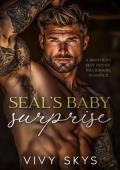SEAL’S Baby Surprise (Lanes #2)