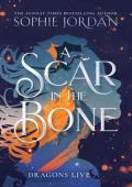 A Scar in the Bone (A Fire in the Sky #2)