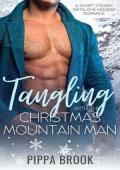 Tangling with the Christmas (Mistletoe Ridge #1)