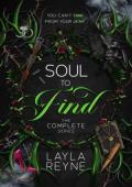 Soul to Find
