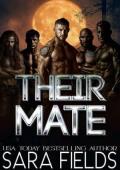 Their Mate (Alphas of Ireland #2)