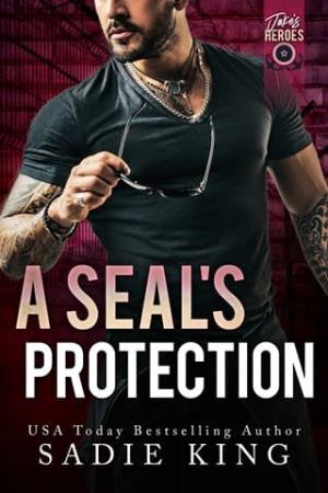 A SEAL’s Protection (Jake’s Heroes #3)