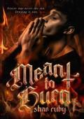 Meant to Burn