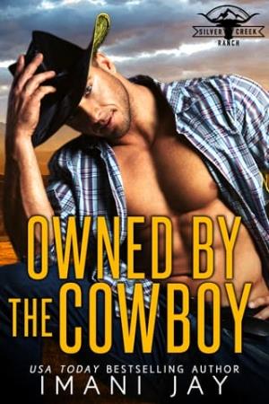 Owned By The Cowboy (Silver Creek Ranch #11)