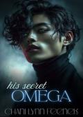 His Secret Omega