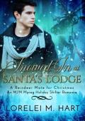 Snowed in at Santa’s Lodge (A Reindeer Mate for Christmas #1)